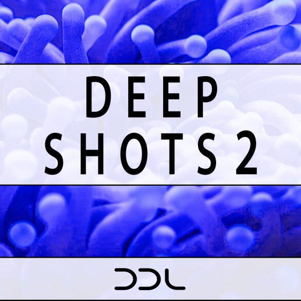 drums,drum,samples,one-shots,deep house,musicproduction