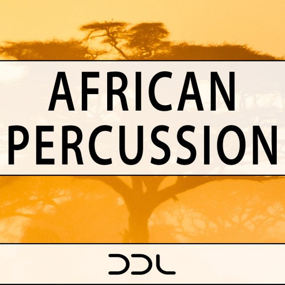 African Percussion – 350 Wav Loops