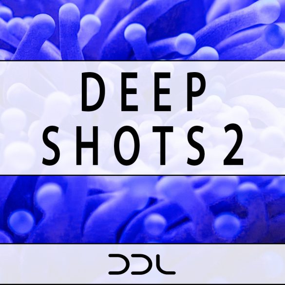 Deep Shots 2 – One Shot Samples