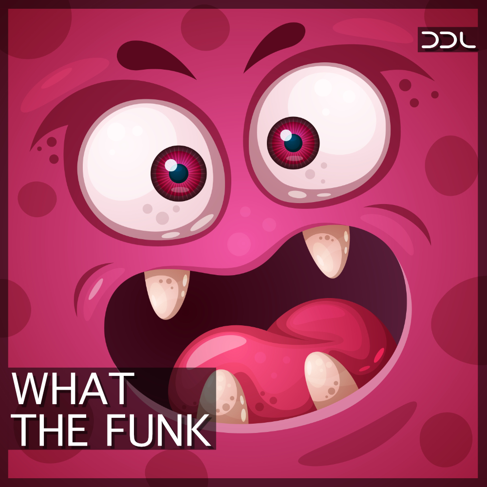 What The Funk – 10 Construction Kits