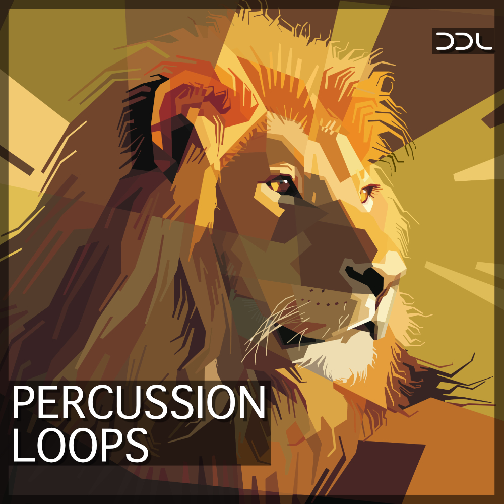 Percussion Loops – 400 Wav Loops