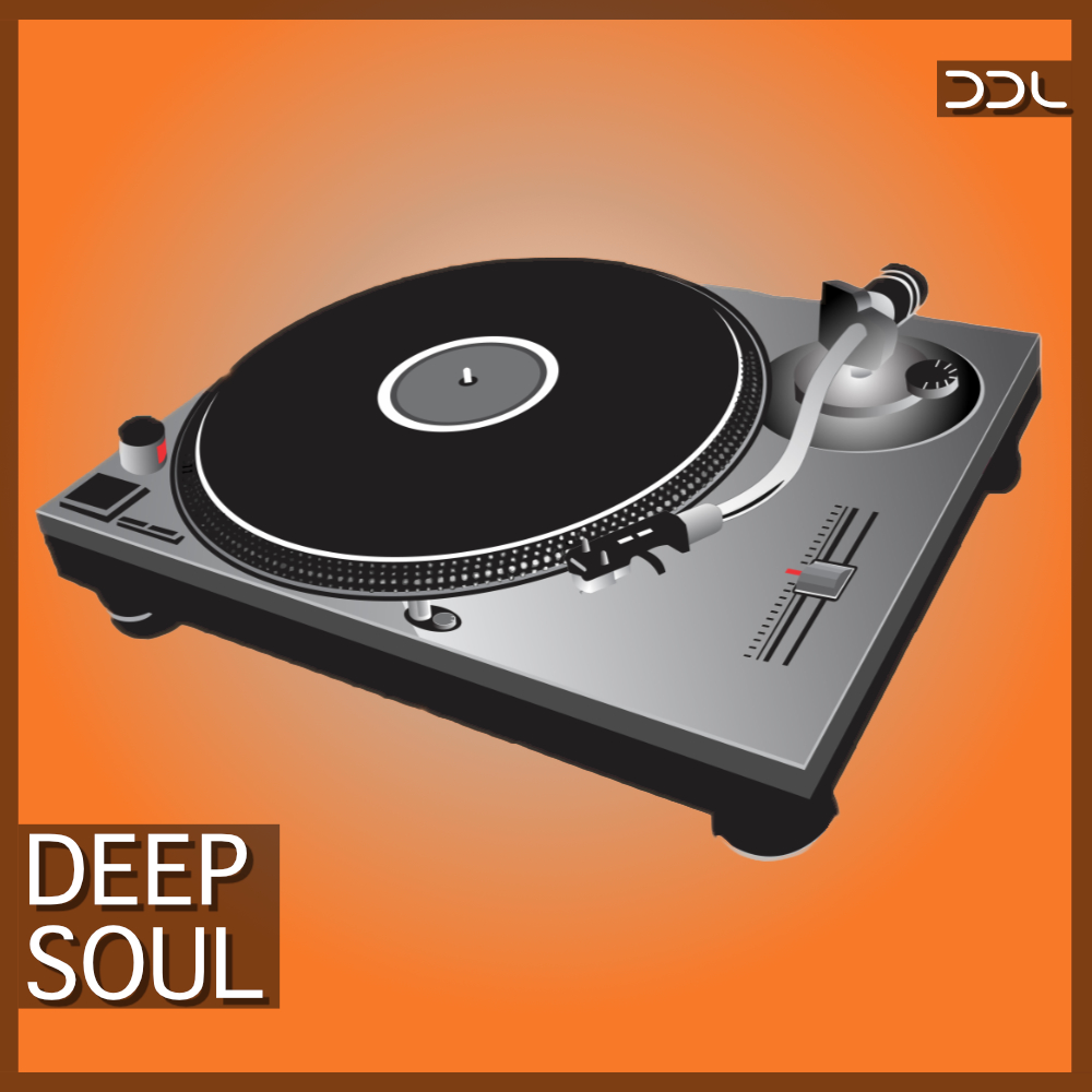 Deep Soul – 400 Wav Loops