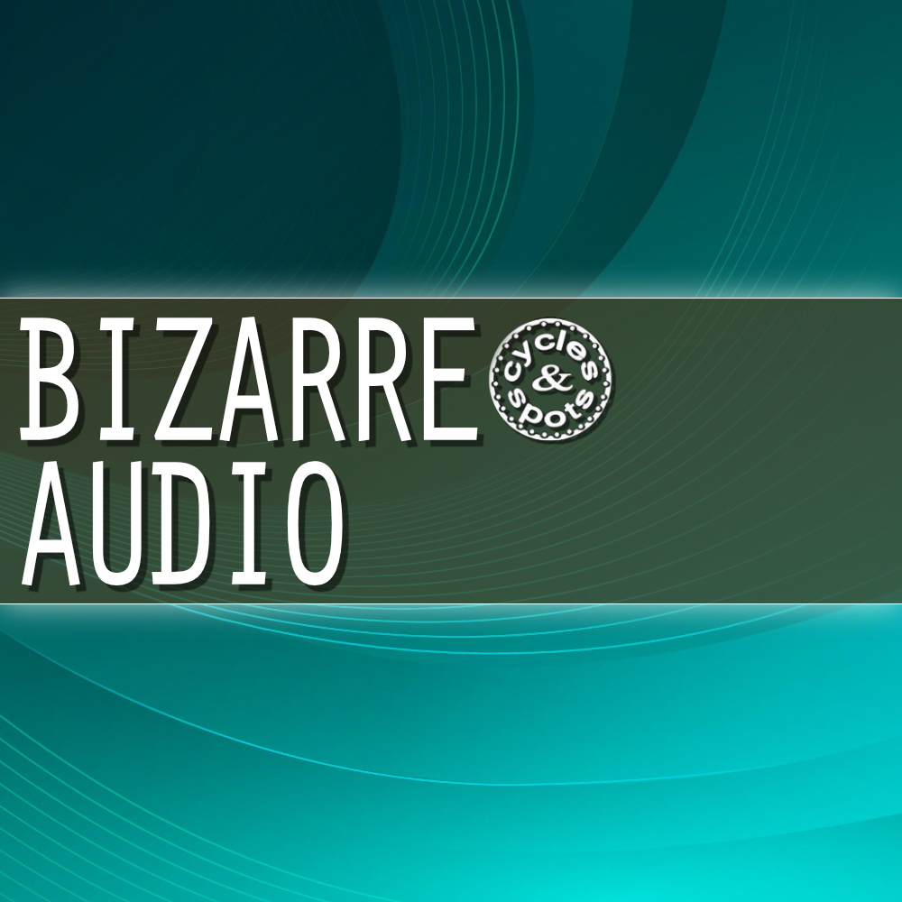 Bizarre Audio – 300 Wav Loops