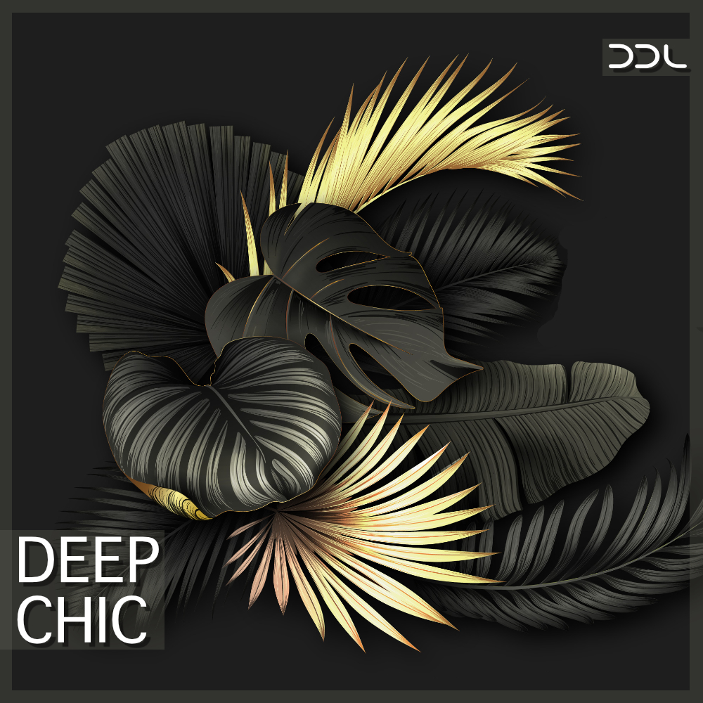 Deep Chic – 5 Construction Kits
