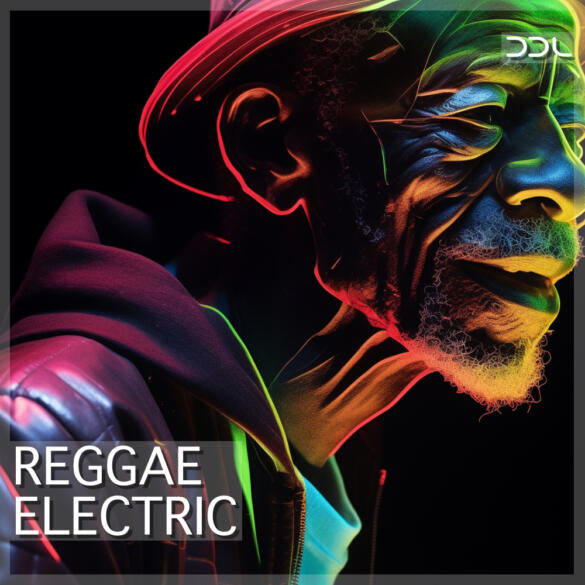 Reggae Electric – 10 Construction Kits