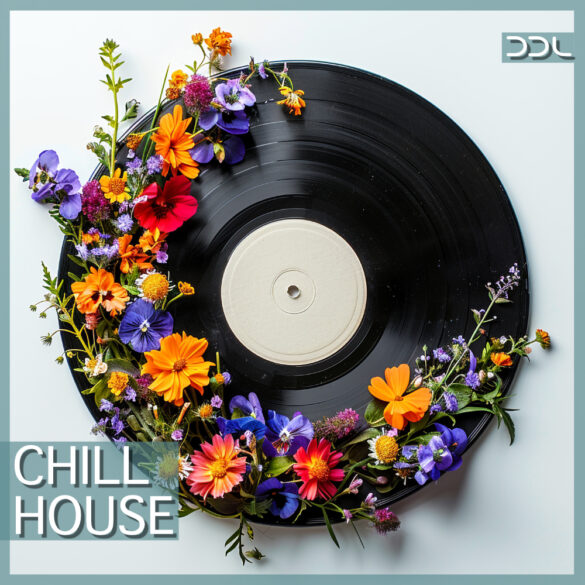 Chill House – 10 Construction Kits