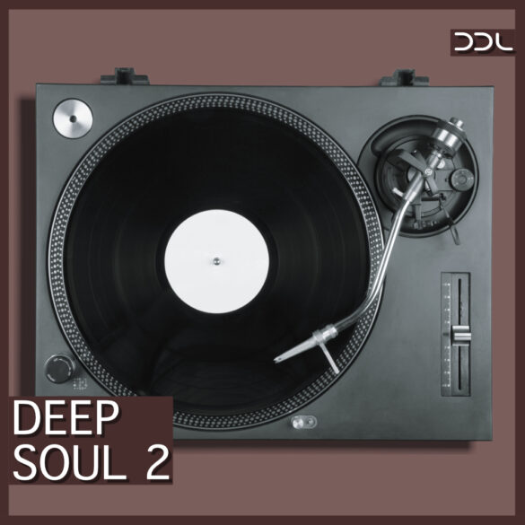 Deep Soul 2 – 369 Wav Loops