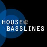 bass loops,bassline loops,bassoines,house bass,house basslines,producer