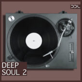 Deep Soul 2 – 369 Wav Loops